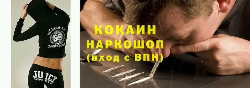 купить наркоту  Змеиногорск  Кокаин Fish Scale 